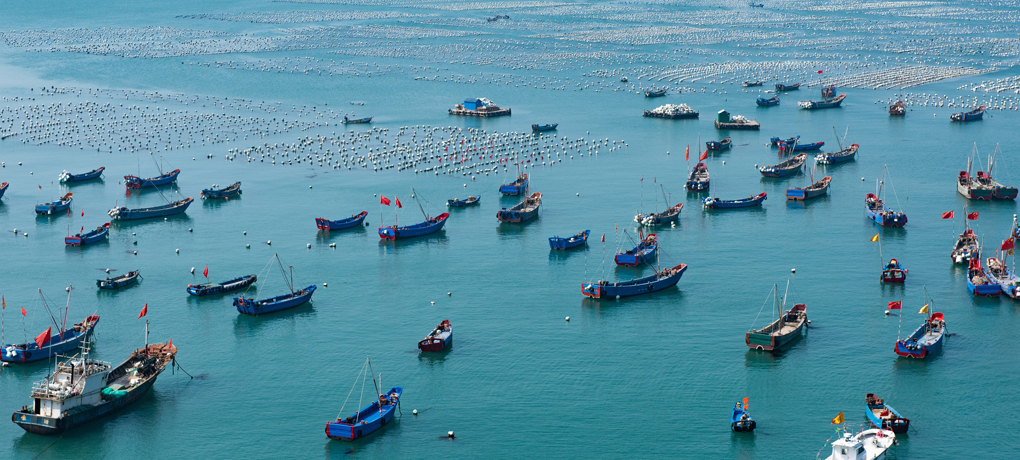 養(yǎng)殖及畜牧行業(yè)